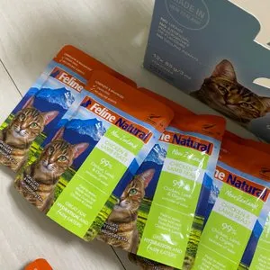 베스트 후기 이미지