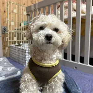 베스트 후기 이미지