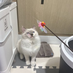 베스트 후기 이미지