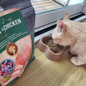 베스트 후기 이미지