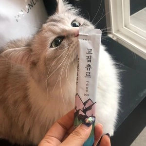 고집츄르 캣 닭&연어&참치 버라이어티 11g*60p 베스트 후기 이미지