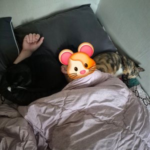 베스트 후기 이미지