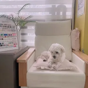 베스트 후기 이미지