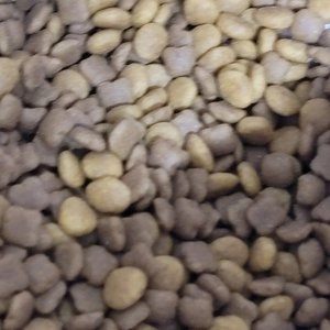 [무료배송] 로얄캐닌 캣 헤파틱 2kg 베스트 후기 이미지