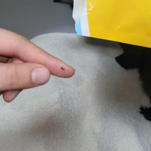 베스트 후기 이미지