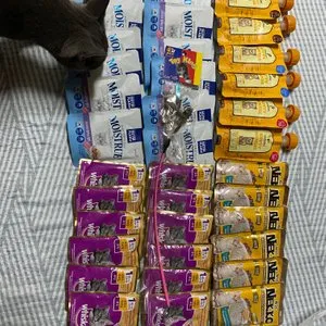 베스트 후기 이미지