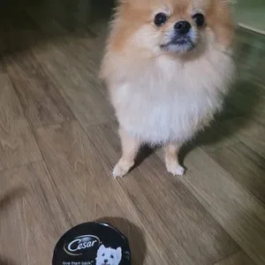 베스트 후기 이미지