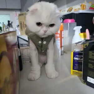 베스트 후기 이미지