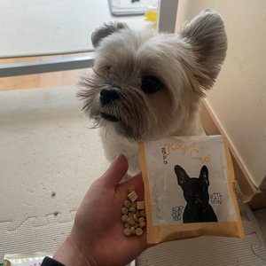 베스트 후기 이미지