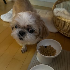 베스트 후기 이미지