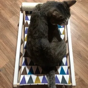 베스트 후기 이미지