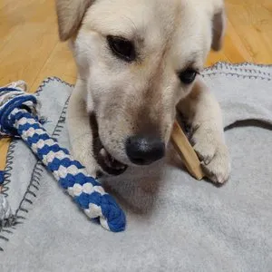 베스트 후기 이미지