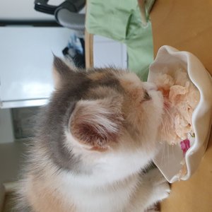 베스트 후기 이미지