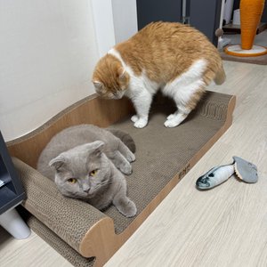 베스트 후기 이미지