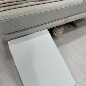베스트 후기 이미지