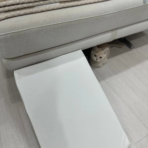 [무료배송] 초코펫하우스 논슬립스텝 2.0 소형 그레이/베이지/민트/핑크 베스트 후기 이미지