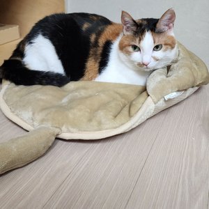 베스트 후기 이미지