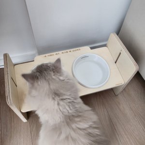 베스트 후기 이미지