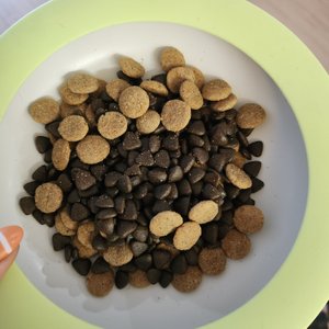 베스트 후기 이미지