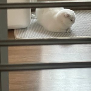 베스트 후기 이미지