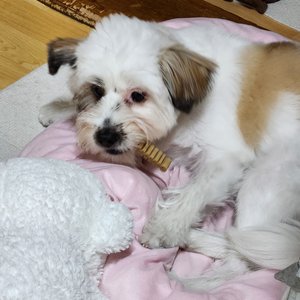 베스트 후기 이미지