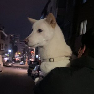 베스트 후기 이미지