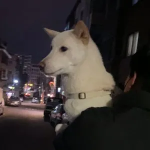 베스트 후기 이미지