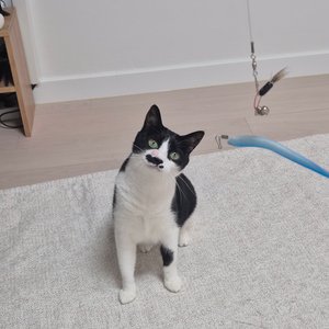 베스트 후기 이미지