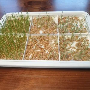 베스트 후기 이미지