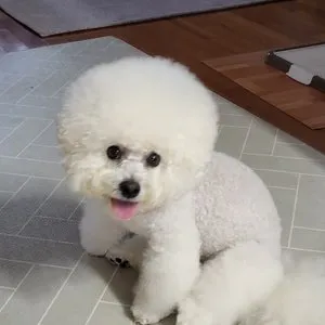 베스트 후기 이미지