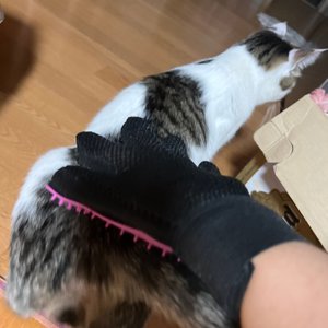 베스트 후기 이미지