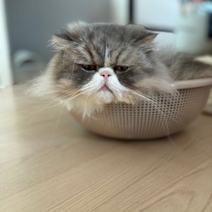 베스트 후기 이미지