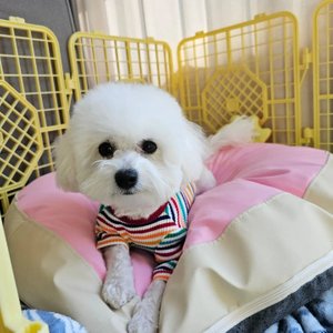 베스트 후기 이미지