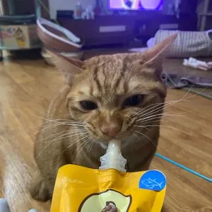 베스트 후기 이미지