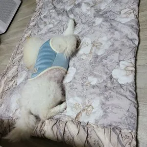 베스트 후기 이미지