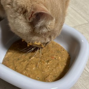 베스트 후기 이미지