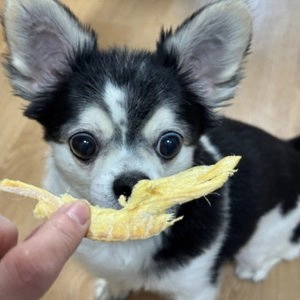 [무료배송] 벨버드 독 무염황태 120g 베스트 후기 이미지