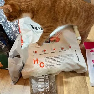 베스트 후기 이미지