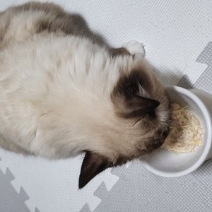 베스트 후기 이미지