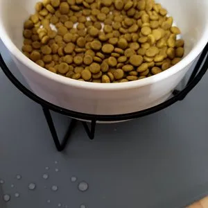 베스트 후기 이미지