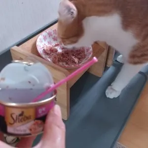 베스트 후기 이미지