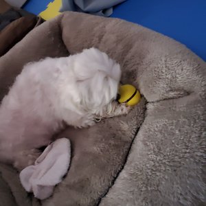 베스트 후기 이미지