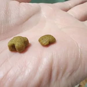 베스트 후기 이미지