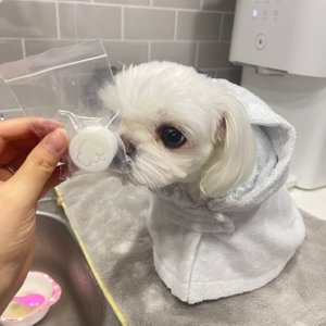 베스트 후기 이미지