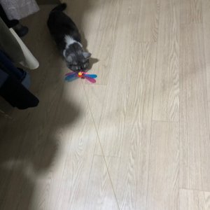 베스트 후기 이미지