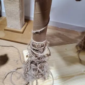 베스트 후기 이미지