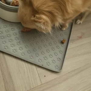 베스트 후기 이미지