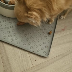 [사료샘플] 스텔라앤츄이스 독 츄이스 터키 디너패티 10g 베스트 후기 이미지