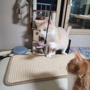 베스트 후기 이미지