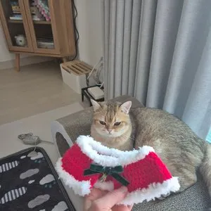 베스트 후기 이미지